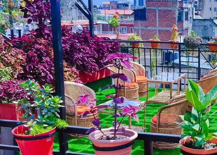 Yog Hostel- Social Backpacker In Thamel -rooftop-capsule Bunks Ac Hostel