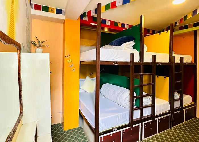 Yog Hostel- Social Backpacker In Thamel -rooftop-capsule Bunks Ac Hostel