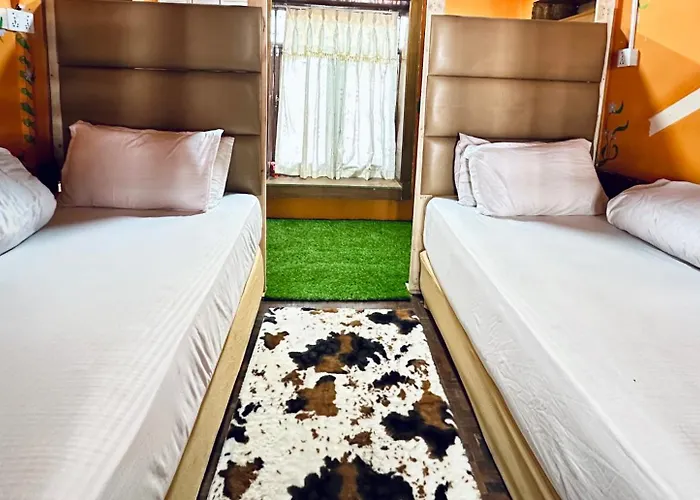 Hostel Yog Hostel- Social Backpacker In Thamel -rooftop-capsule Bunks Ac *