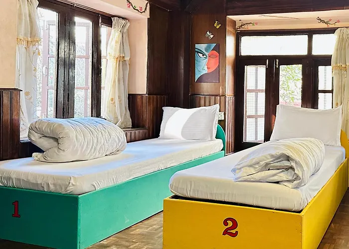 Yog Hostel- Social Backpacker In Thamel -rooftop-capsule Bunks Ac * Kathmandu